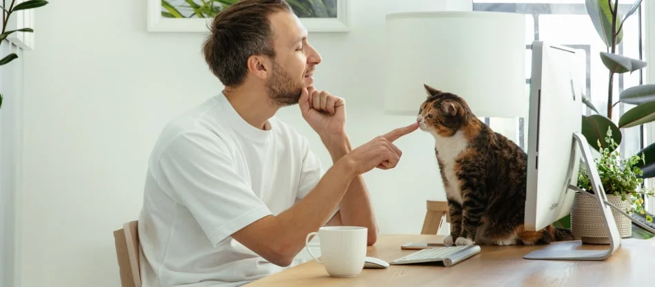 Jak Bitrix24 Vega może zmienić Twoje podejście do pracy zdalnej i współpracy