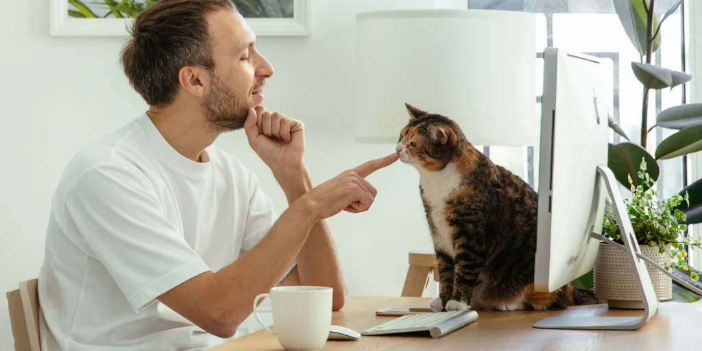 Praca zdalna? Top 6 narzędzi do efektywnej pracy online