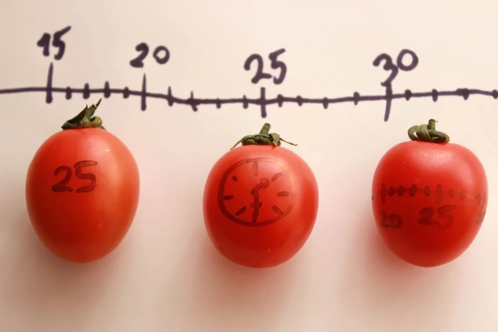 Metoda Pomodoro Metoda Pomodoro